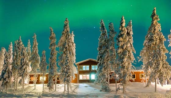 Bomen met sneeuw en een verlicht huis