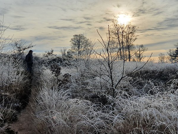 treekerduinen 3