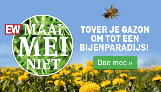 Mei Maai Niet