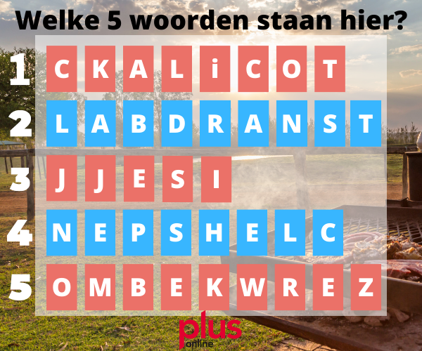 Plus Zomerpuzzels anagram