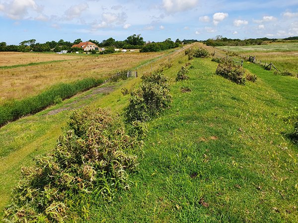 Horntje