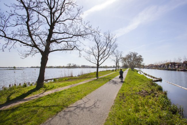 Reewijk