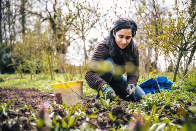 Vrouw in haar moestuin