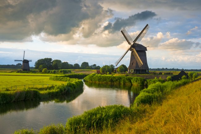 Molen in de polder