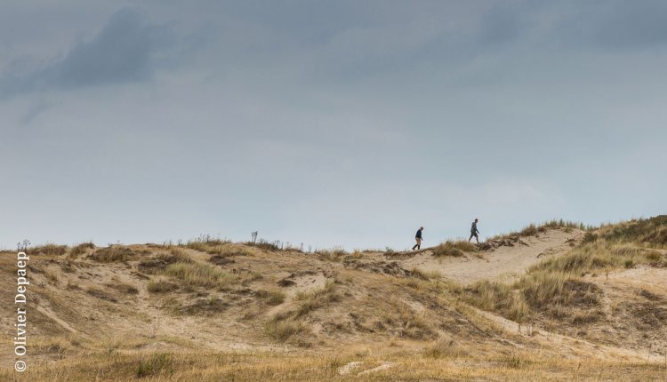 Wandelaars Zwinduinen