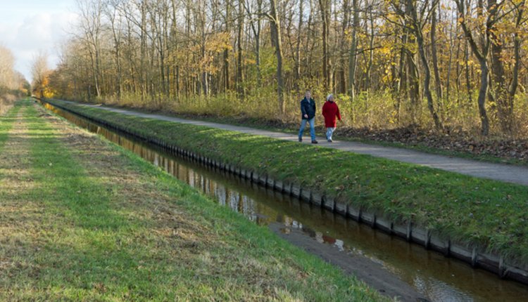 Urker wandeling bos