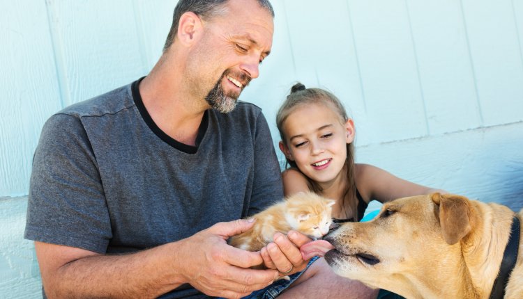 Dieren hond kat huisdier