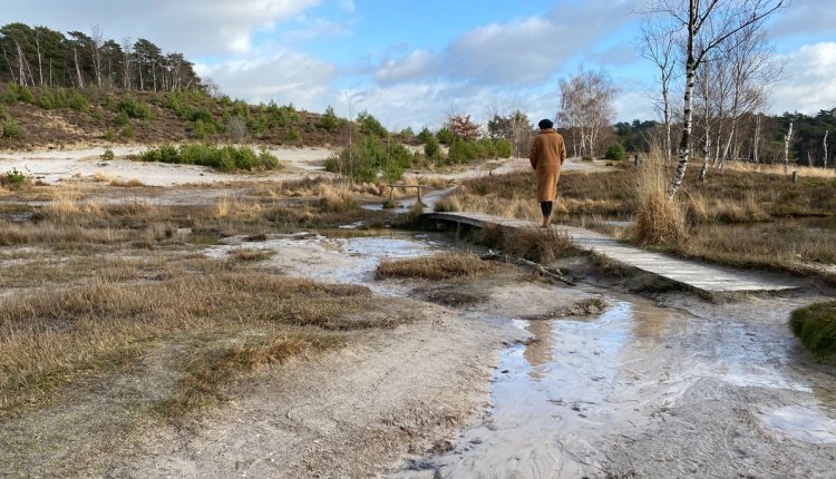 Vrouw wandelt in de winter door natuurgebied