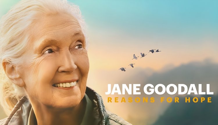 Jane Goodall