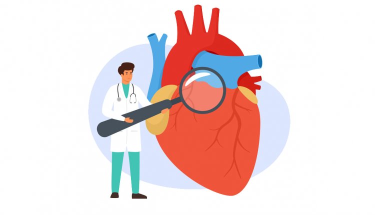 Illustratie van een arts die een menselijk hart controleert 