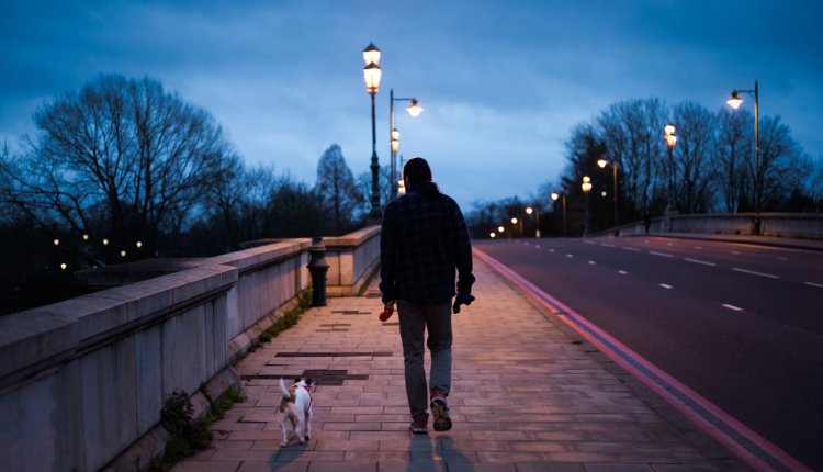 Man maakt een avondwandeling met zijn hond