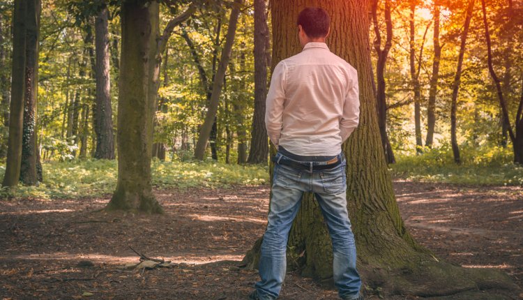 Man plast tegen boom