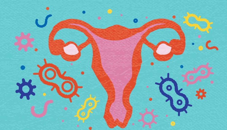 Vaginale microbioom