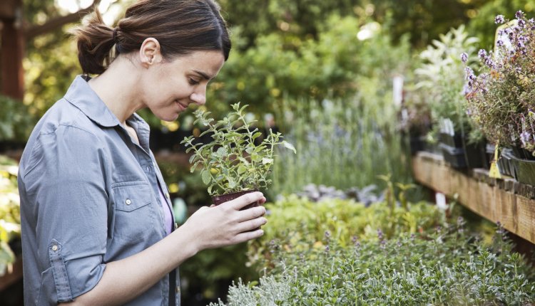 Vrouw met kruidenplantje in de tuin