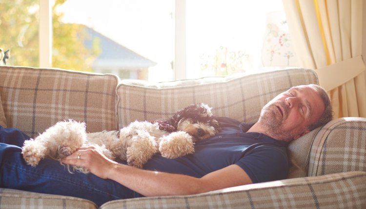 Man slaapt overdag op de bank samen met zijn hondje