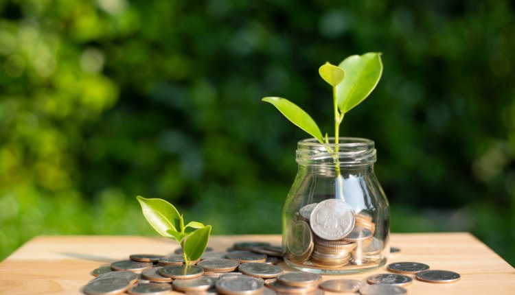 Groen sparen, geld in een potje met planten