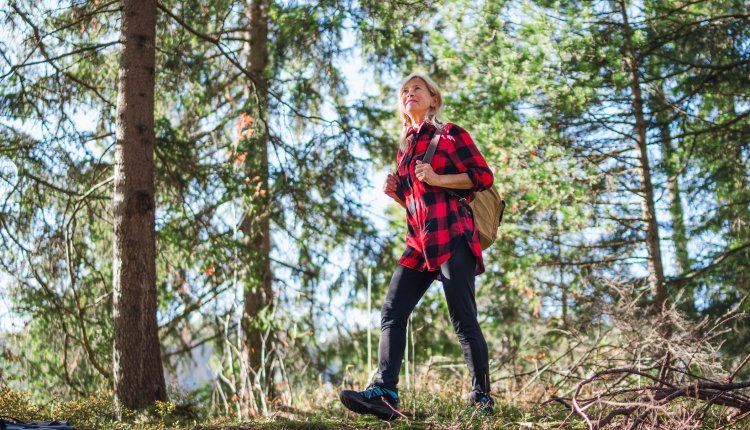 Vrouw wandelt op een mooie herfstdag door de bossen