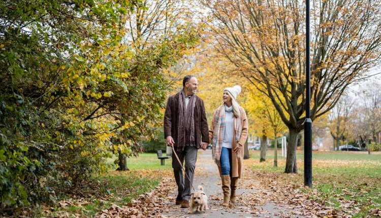 stel wandelt buiten met hond in de herfst