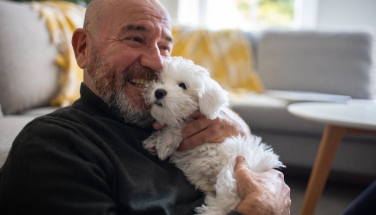 Man op de bank, hond op schoot