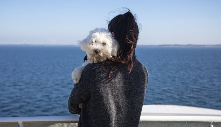 Hond kijkt over de schouder van eigenaresse aan zee