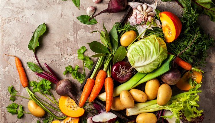 Wintergroente verzameling