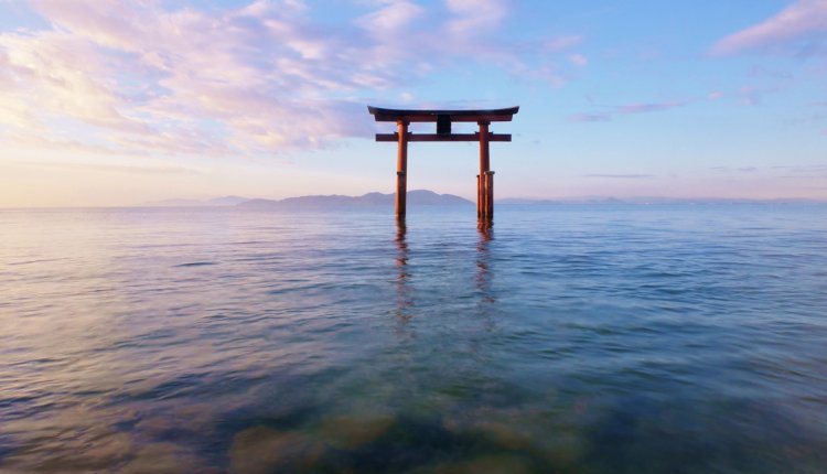 De drijvende Torii-waterpoort in het betoverende Biwameer in Shiga, bij zonsopgang.