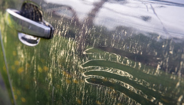 pollen op de auto