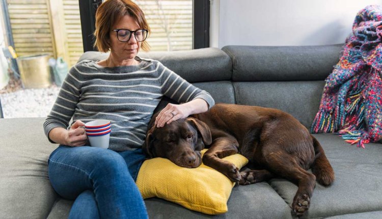 Vrouw met hond op de bank