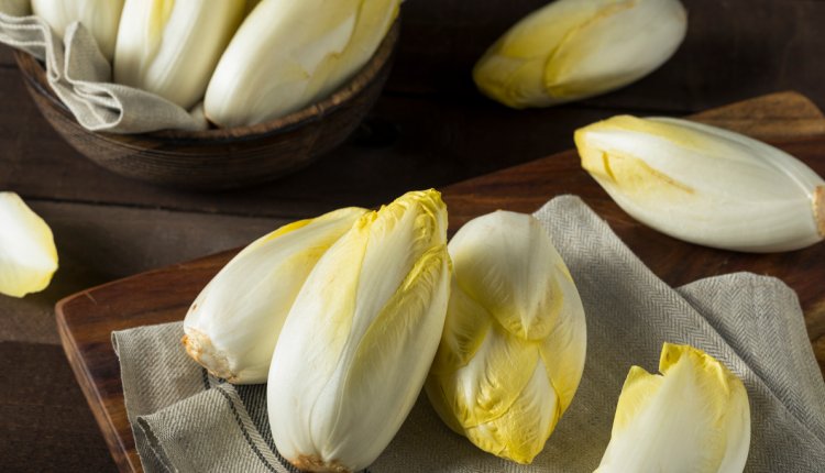 Lekkere lentegroente witlof op houten plank