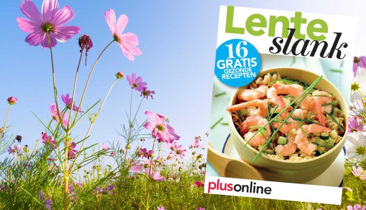 Receptenboekje Lenteslank