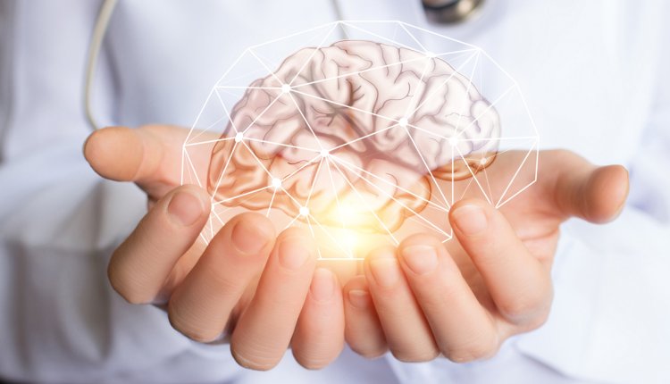 hand met hersenen