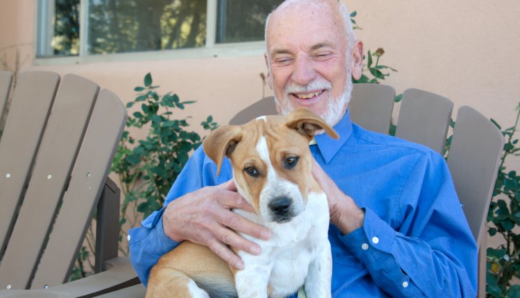 Hond op schoot bij man