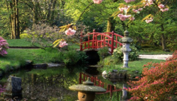 De japanse tuin