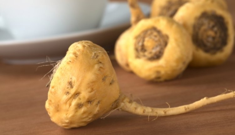Maca