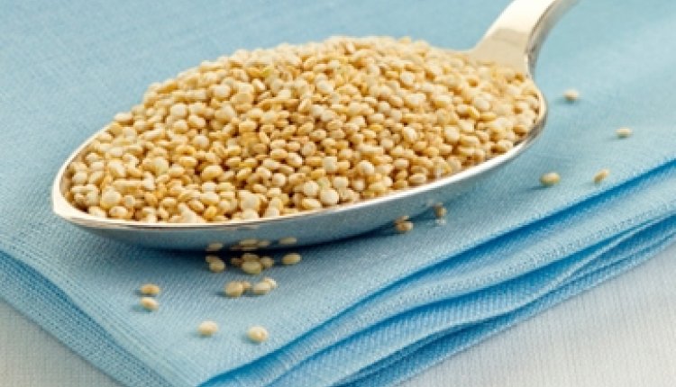 Quinoa 365x243
