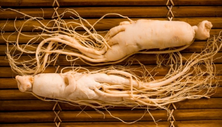 Ginseng