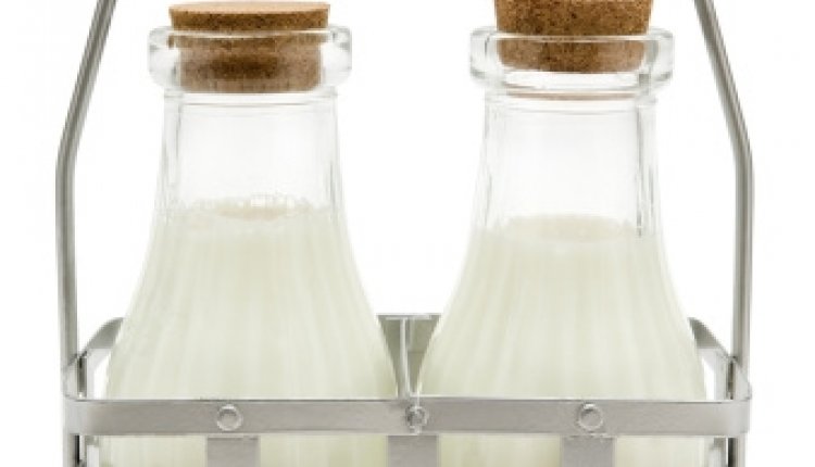 Melkflessen