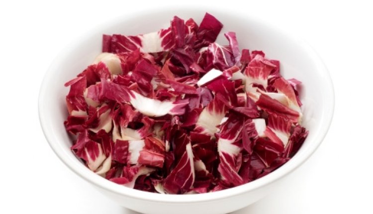 Lofsalade