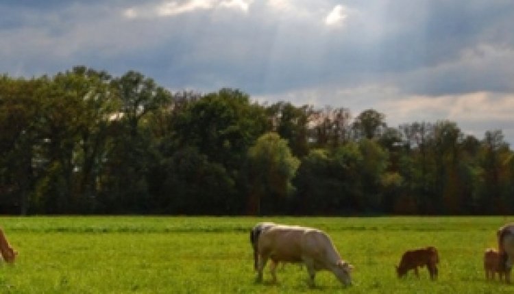 Fietsrouteoverijssel
