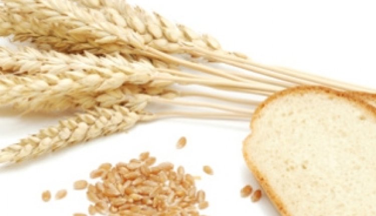 Graan brood