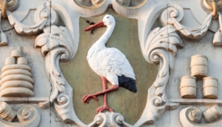 Denhaag