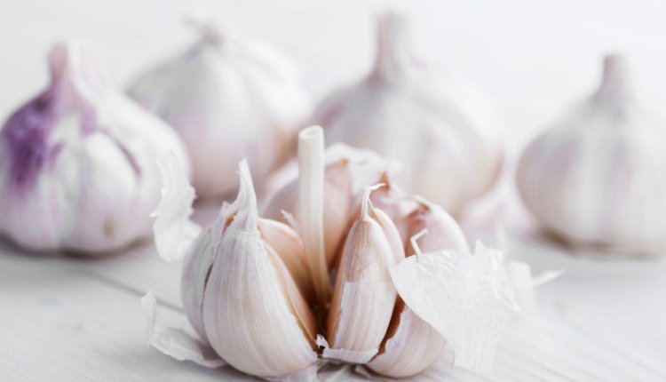Knoflook