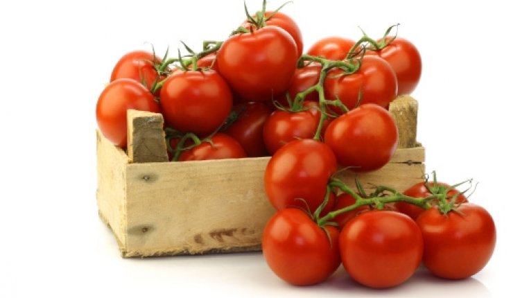 Tomaten3