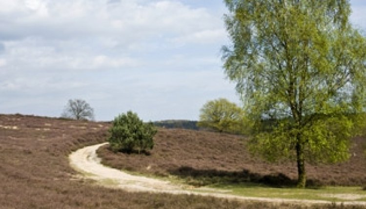 Veluwe