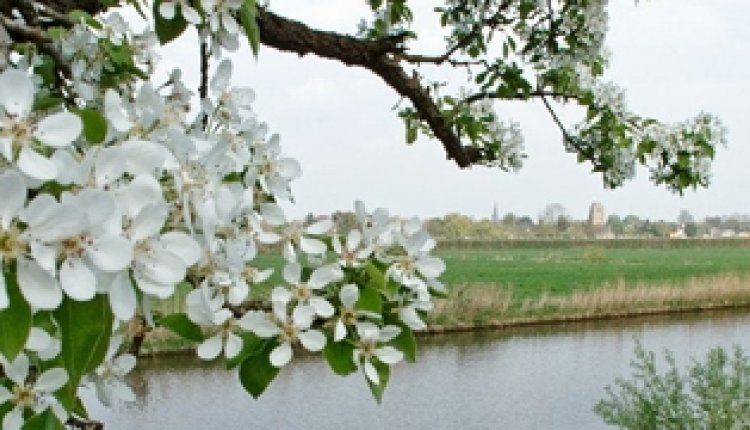 Bloesemroute