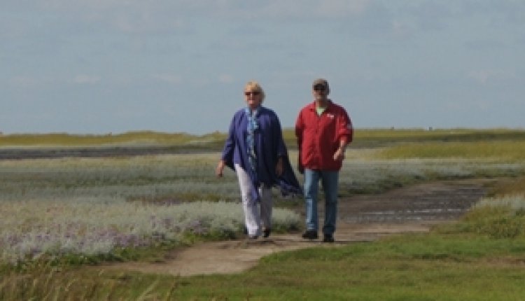 Wandelen texel