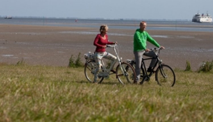Fietsen