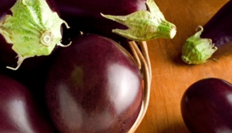 Aubergine
