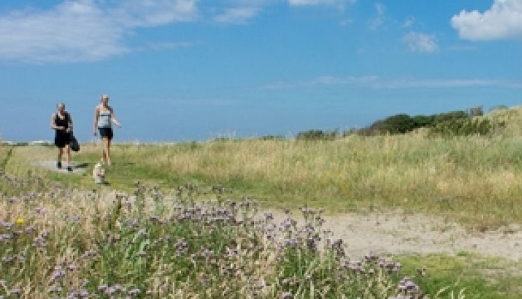 Waddenwissel