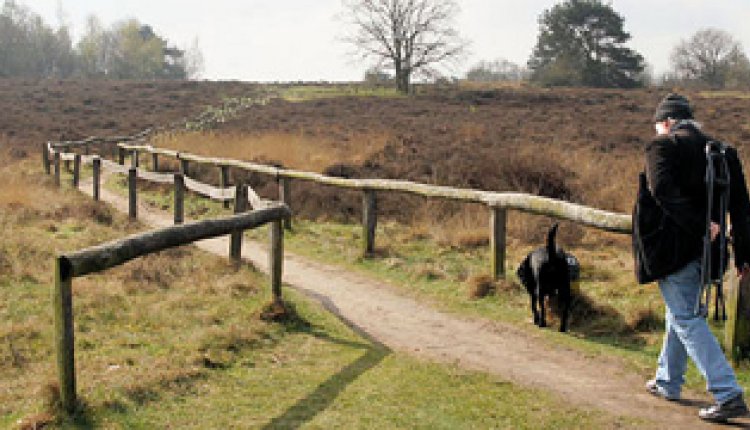 Havelterberg